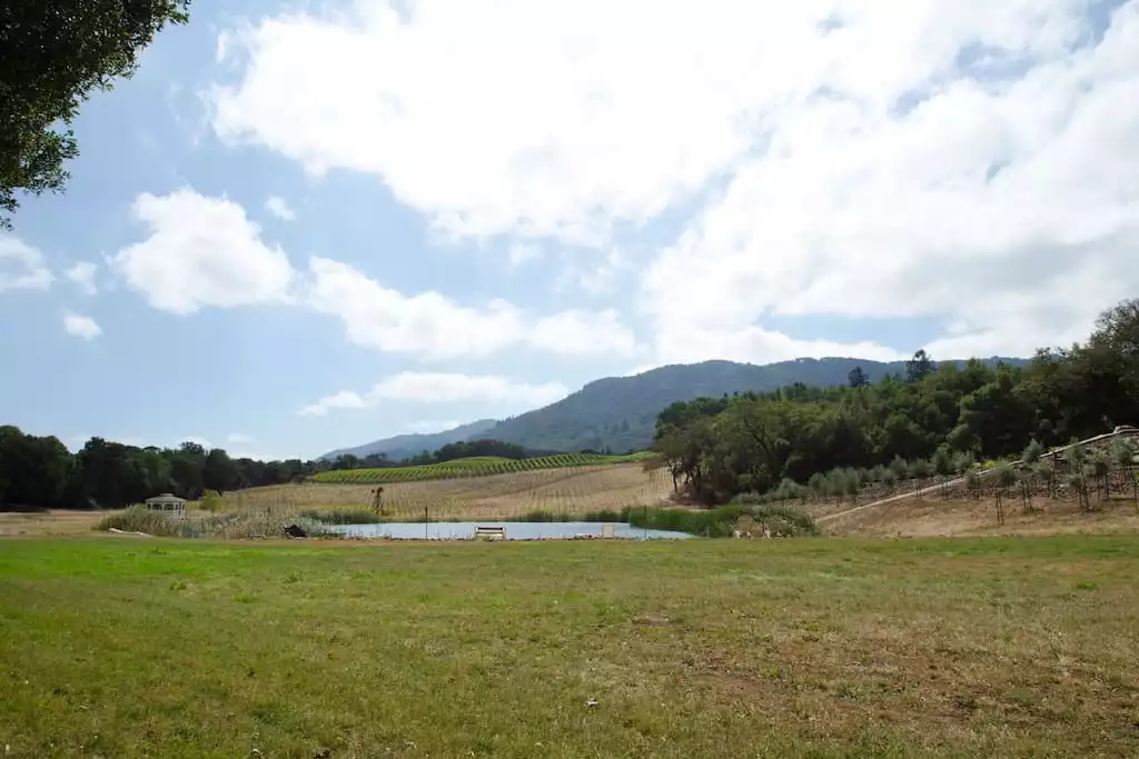 Lake, Gazebo and view of Sonoma Mountain Lake, Gazebo and view of Sonoma Mountain - 33 Acre Wine Estate,Lake,Waterslide - Glen Ellen