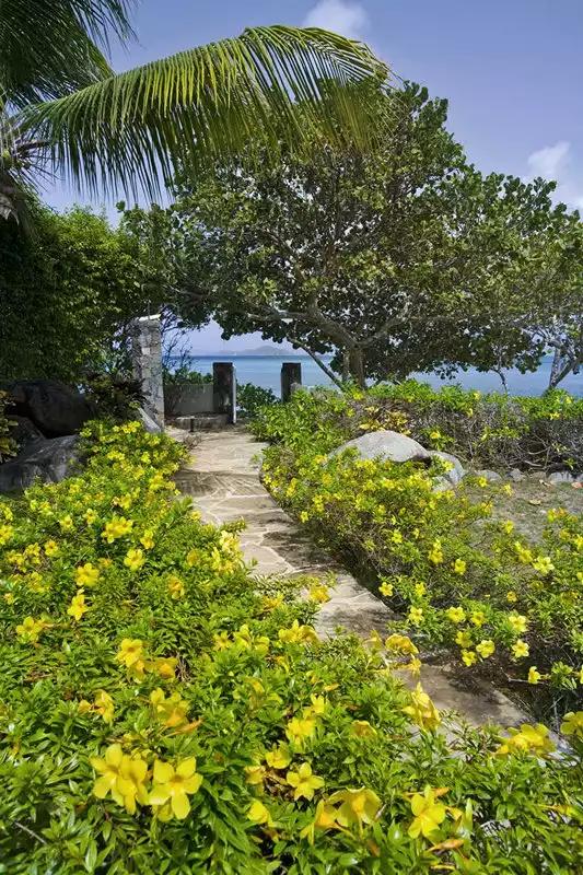 Sea Fans - Mahoe Bay - Virgin Gorda