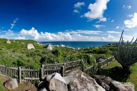 Mon Repos - The Baths Hill