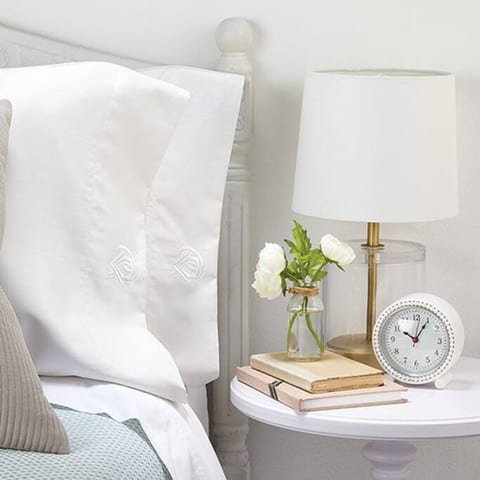 SERENE ECO CLEAN - 99% bacteria free products.  We clean without harmful chemicals, only silver.  Natural & Amazing. Norwegian clean by Norwex.  Sanctuary of the Swan means Wellness.  We care about the health of our Guests.