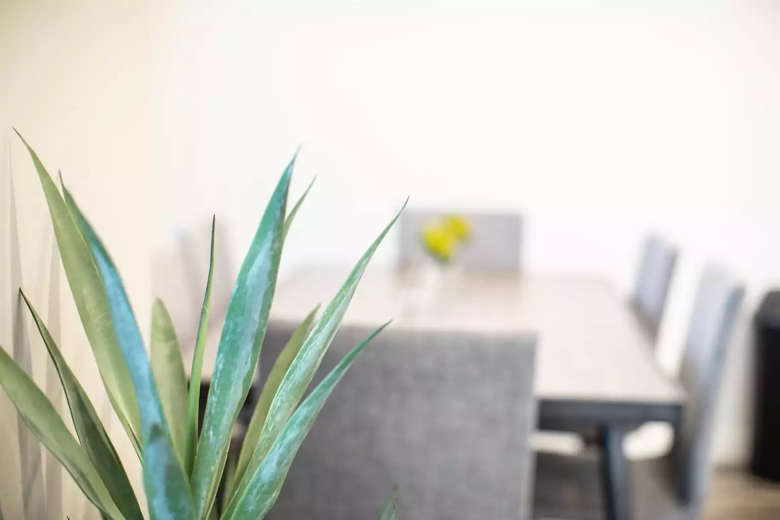 modern-and-luxurious-private-3-bedroom-home/