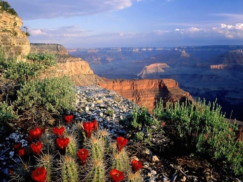Closest vacation home to the Grand Canyon