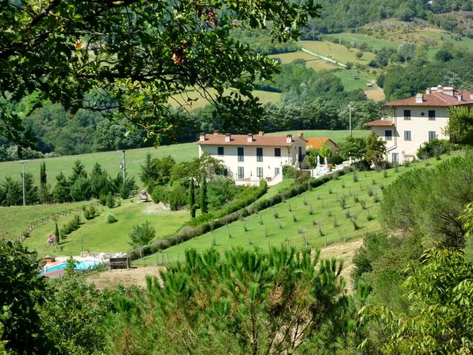 Vigna La Corte - Dicomano