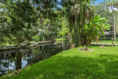 Our back canal to the Homosassa River