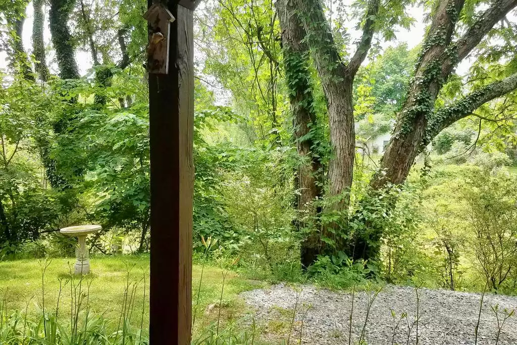 Your private front yard and porch for watching the sunset with wine or sipping coffee and watching the birds.