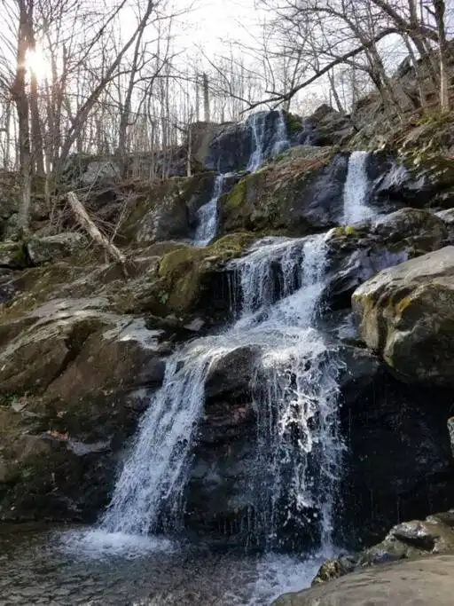 Dark Hallow falls in Shenandoah National Park, entrance is about 15 minutes from the house - The Sterling at Briar Laine House - Luray