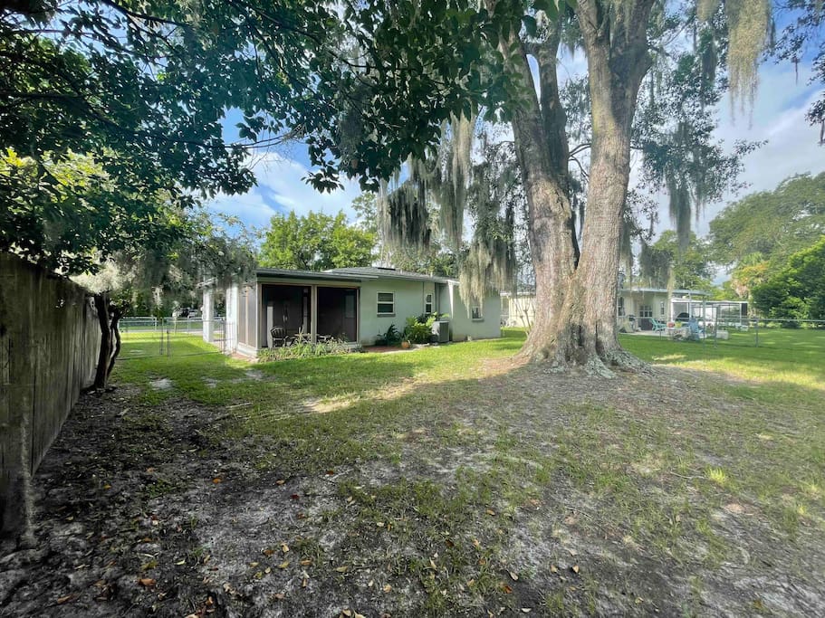 Another view of the back getting a better idea how big the yard is. - Comfortable Pet-friendly home w/ large fenced yard - Jacksonville