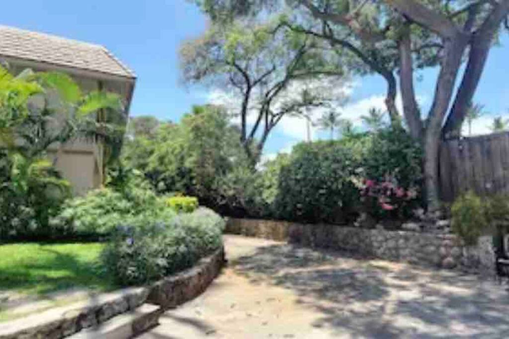 Unrivaled S Kihei Maui location! Walk to it all! - Kihei Unrivaled S Kihei Maui location! Walk to it all! - Kihei
