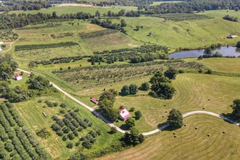 Farmhouse at Morris Orchard  25 min to LU