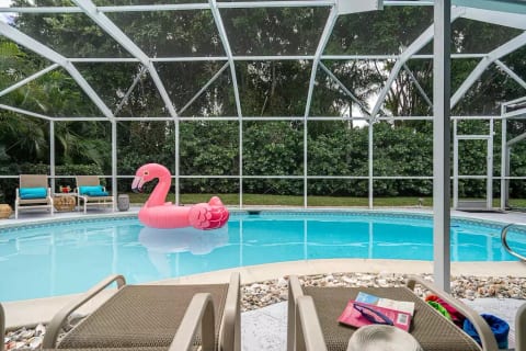 The Pink Flamingo