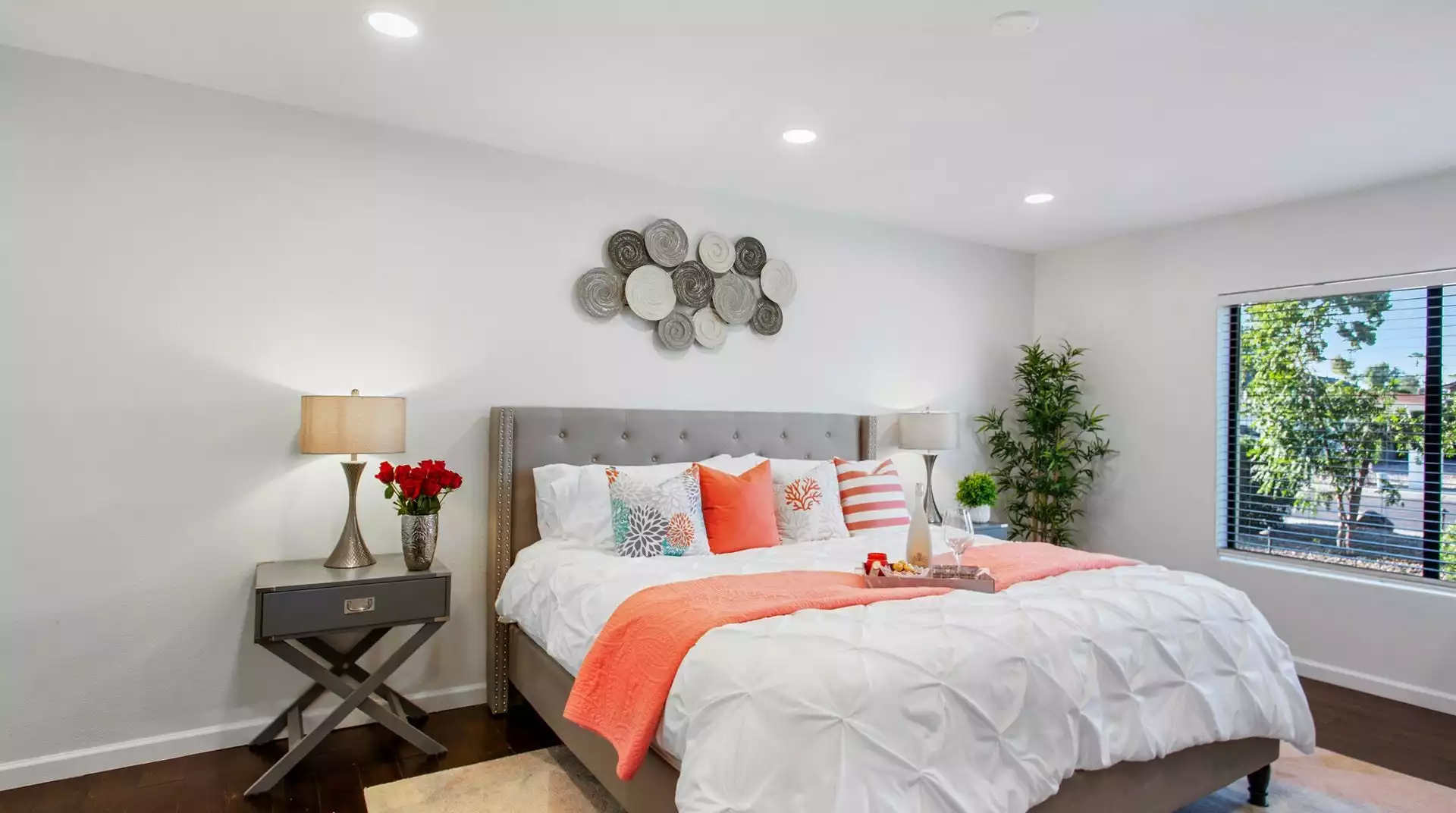 Scottsdale Endless Summer - Scottsdale