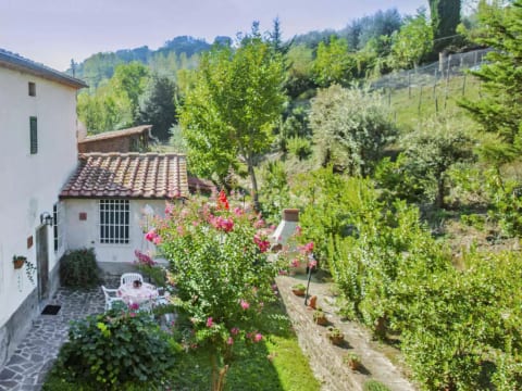 Il Gelsomino
