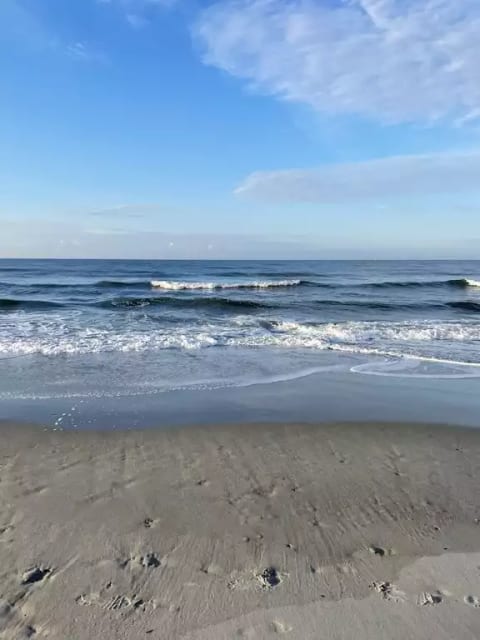 Vitamin Sea is waiting for you!