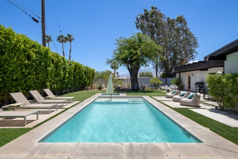 Sparkling saltwater pool with tanning ledge
