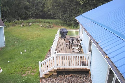 Deck and grilling area