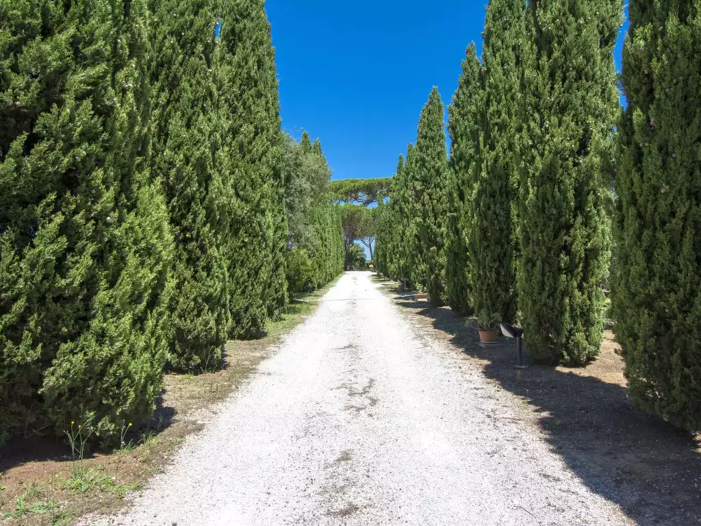 Podere Tre Termini (CEC171) - Tuscany