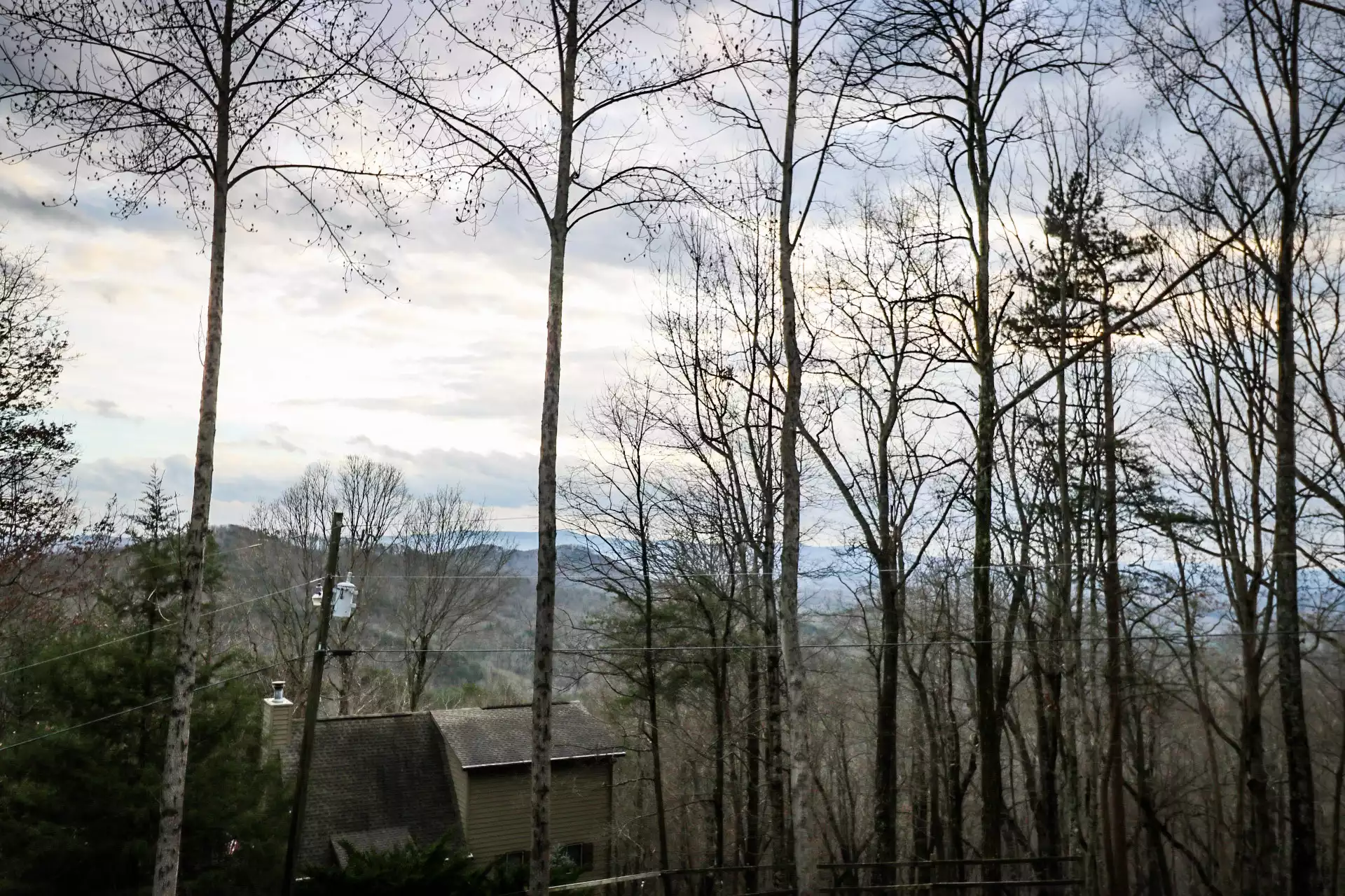 The Owl's Nest - Ellijay