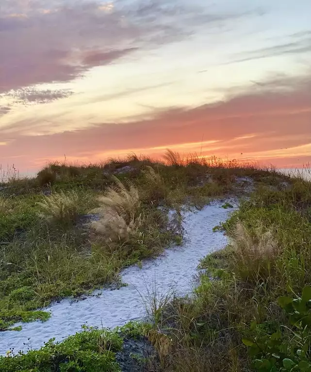 Blue Heron Cottage #1 - Indian Rocks Beach