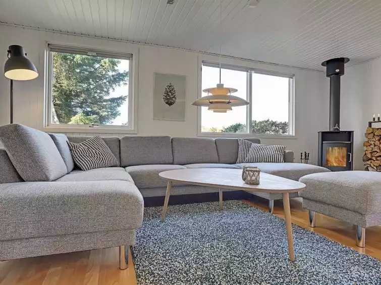 Living roomType Living roomType - Druscilla - 650m from the sea - Saltum