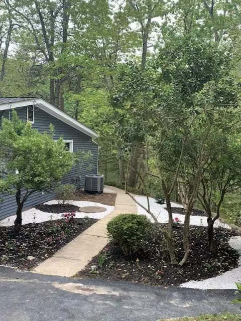 Ivy Cove