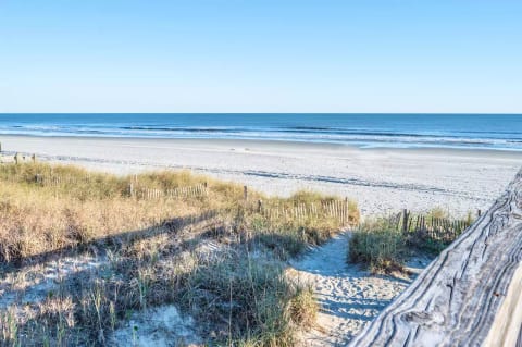 Natural Areas by the Ocean