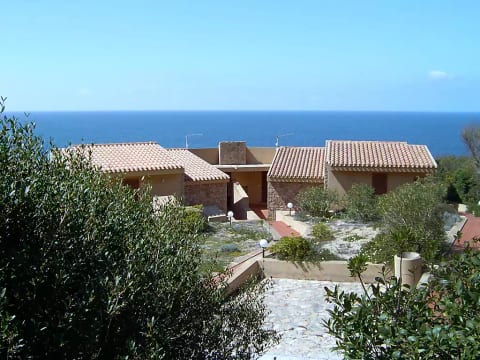 Mare
