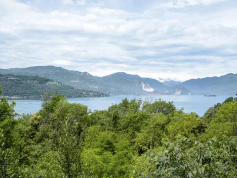 Casa nel Bosco