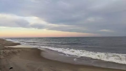 Beach view