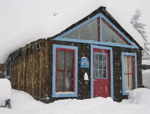 Cozy Cabin in the Heart of it All, Crested Butte