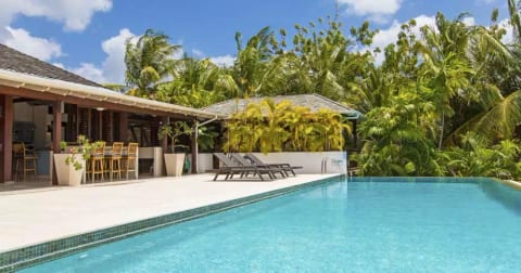 Java Bay - Westmoreland