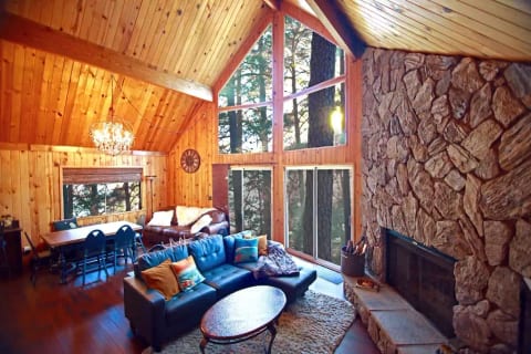 Cozy up this winter by fire, A frame in treetops