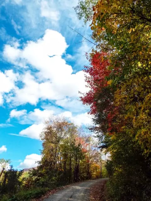 Fall on our road to the cabin, Mountain views as you go up to the cabin along the way. 
