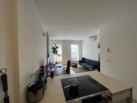 Private room in Bedstuy, Brooklyn