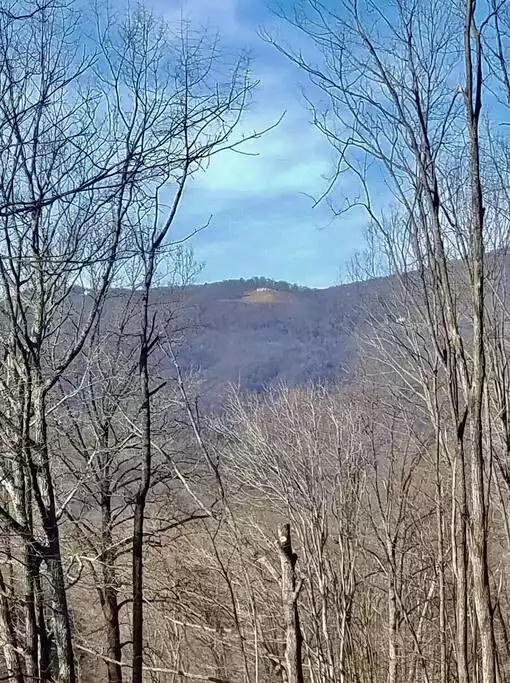 Fall/Winter Mountain View from the front porch! Imagine waking up to this view each morning, sipping coffee surrounded by nature’s incredible beauty! Fall/Winter Mountain View from the front porch! Imagine waking up to this view each morning, sipping coffee surrounded by nature’s incredible beauty! - The Blue Ridge Cabin - Roseland