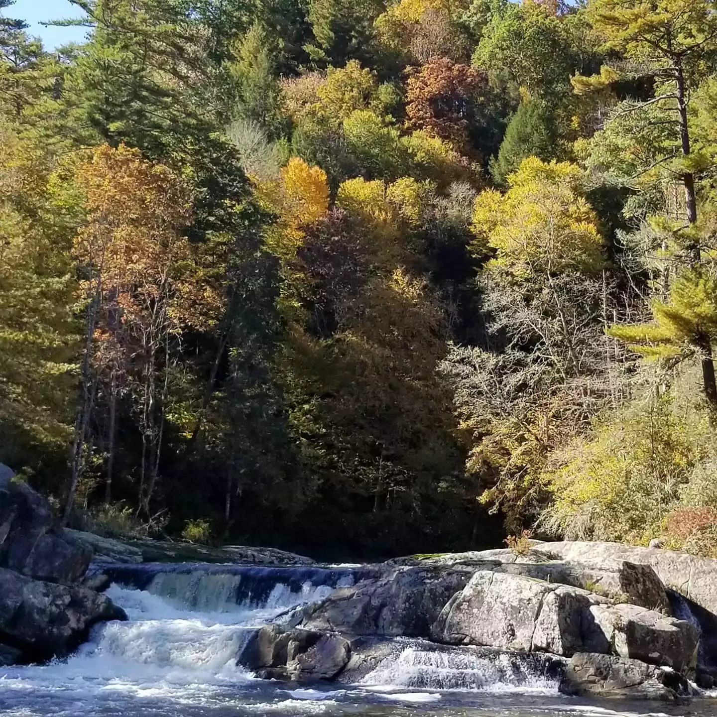 Liville Falls Off the Blue Ridge Parkway - Grandfather's Shadow Vacation Cabin - Banner Elk