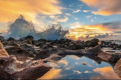 Coastal Paradise