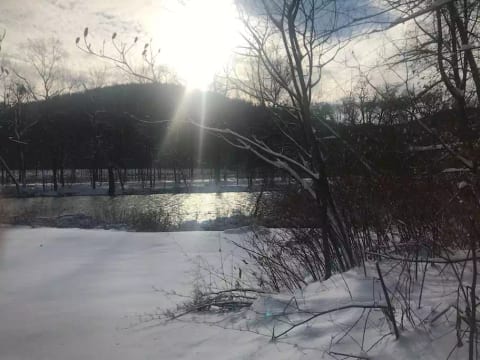 Private apartment on the Battenkill River!