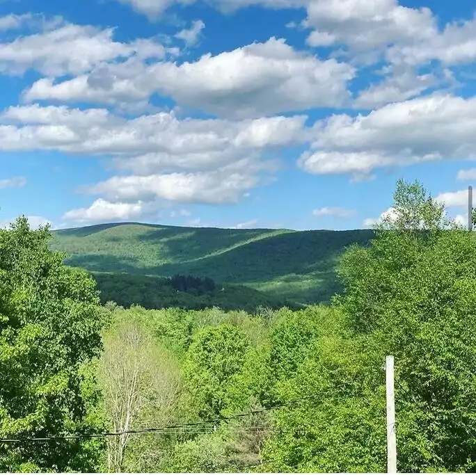 Summer views from the deck Summer views from the deck - Berushka Cottage - Fleischmanns