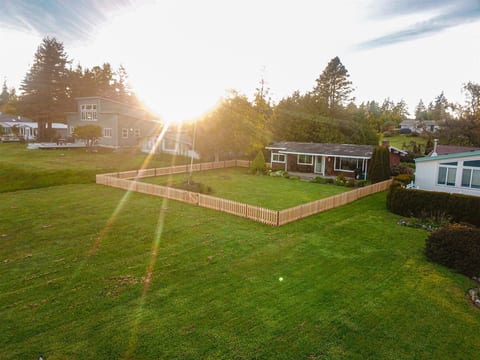 Aerial shot of the large fenced yard