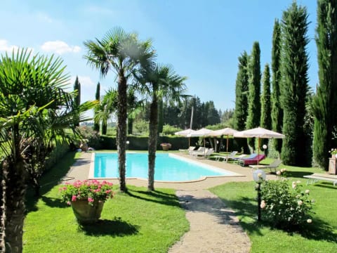 Giuggiolo - Giuggiolo 5
