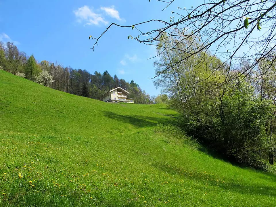 Rot - Goldegg
