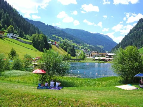 Hirsch