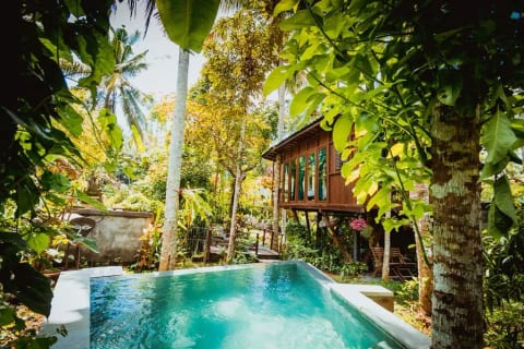 The Ubud Treehouse