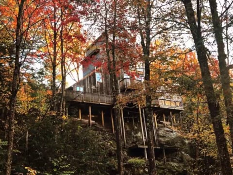 In the trees, overlooking a gorge and stream, you will feel like you are in a private paradise!