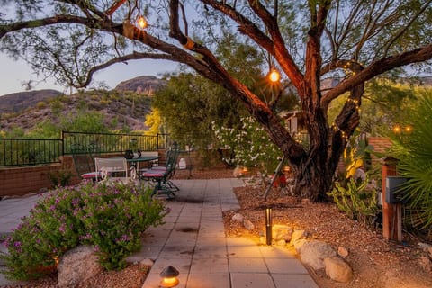 enjoy dinner under the Tuxon grand mesquite and welcome the stars over cocktails