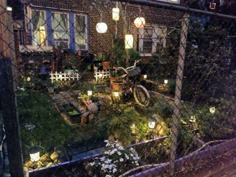Front garden at night.