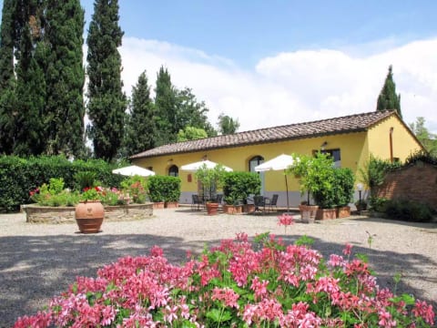 Giuggiolo - Giuggiolo 3