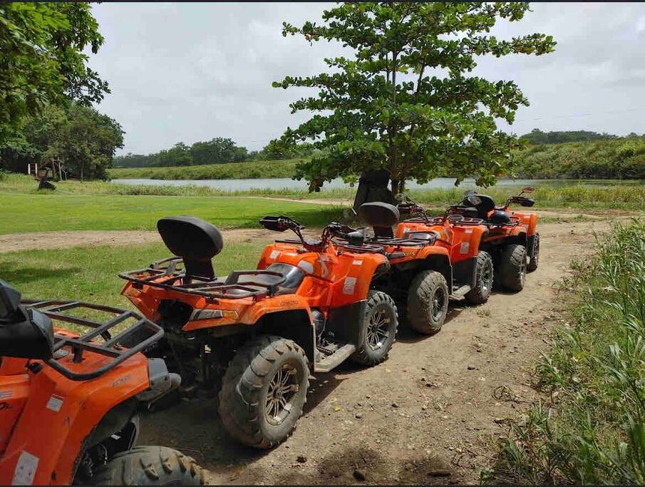 Hacienda Campo Rico - Close to Isla Verde beach, airport, Old San Juan - Carolina