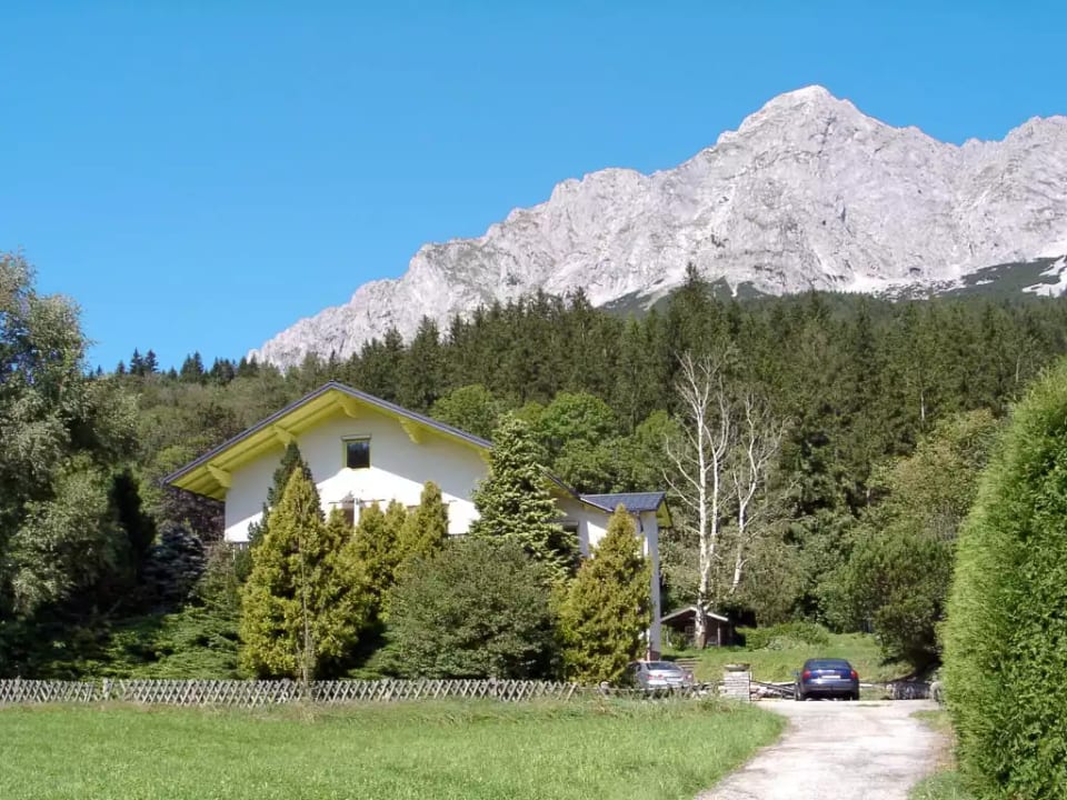 Viola - Öblarn