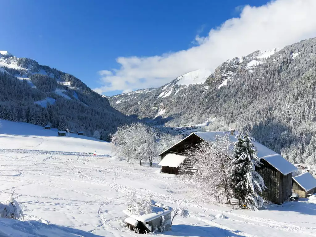 Le Grand Lodge (CHL102) - Châtel